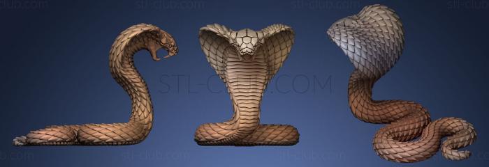 3D мадэль Змея кобра (STL)